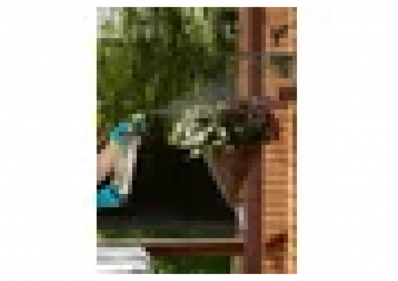 Распыляющая головка PALISAD