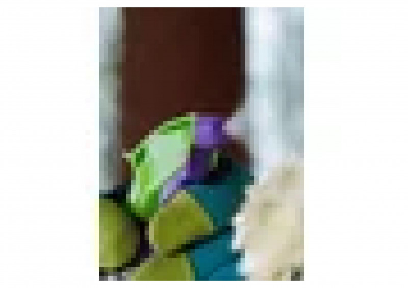 Распыляющая головка PALISAD